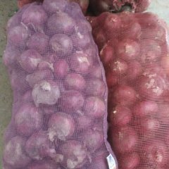 山东陵县紫皮洋葱名优产品