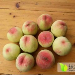 遂平大白挑，色泽鲜，鲜红包熟