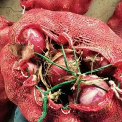 三原洋葱外形大圆，品质好