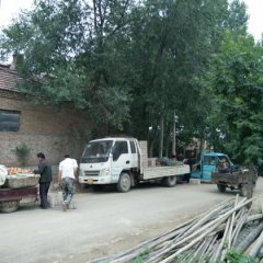 山东禹城荷兰十五土豆品质优良