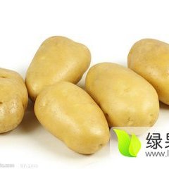 山东安丘荷兰十五土豆随行就市