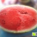 丰县欢口陈鑫6月冠龙西瓜