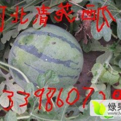 我们的代办点，请广大客商不必担忧货源问题