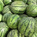 安徽淮南关大哥瓜果种植专业合作社