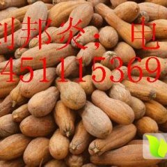 湖北嘉鱼刘邦炎信义合作社，大果小果南瓜和金韩密本