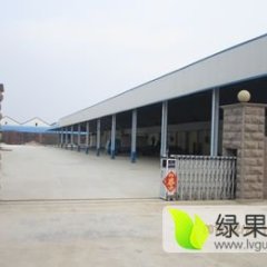 冷库出租专业代收储存洋葱