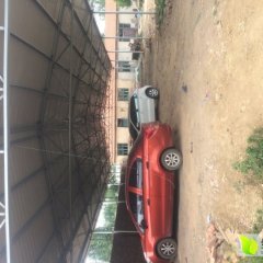 山东安丘市土豆大量上市，2两通天