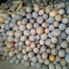 武鸣1827李代理6月金韩密本南瓜