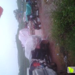 广西南宁市良庆区大塘镇西瓜大量上市