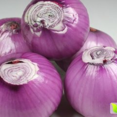 河南邓州紫皮洋葱上市了，品质一流