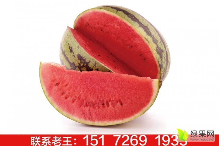 湖北宜城花皮西瓜成熟啦