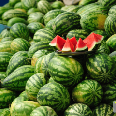 2016凌海西瓜俏销大江南北