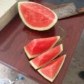 开封县郭庄刘龙5月京欣西瓜