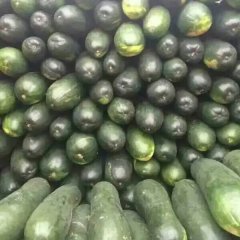 2017嘉鱼冬瓜走过路过不要错过