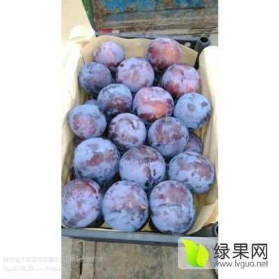 2016年陕西大荔黑宝石价格