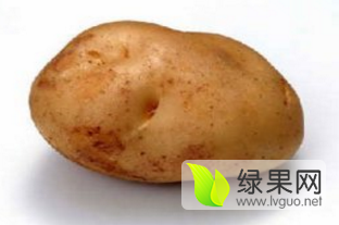 内黄河南樊龙6月荷兰十五土豆