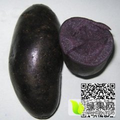 莱阳黑土豆上货量大，皮黑色，肉黑紫色，表皮光滑