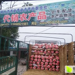 葫芦岛正宏阳生态农业专业合作社联合社