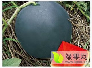 2016年陕西大荔黑皮无籽价格