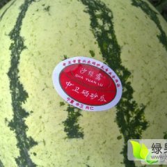 2017年兴仁镇、北滩镇沙地西瓜信息中心