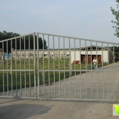 江苏贾汪春雪蜜桃是名优特产