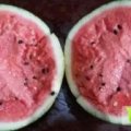 惠民西瓜质量上乘,麻店刘书光诚信合作