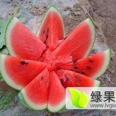 河北饶阳京欣西瓜