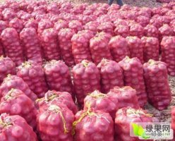 通许洋葱太多了