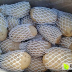 山东莱西荷兰十五土豆大量上市