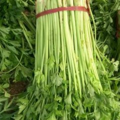 2016禹城芹菜走过路过不要错过