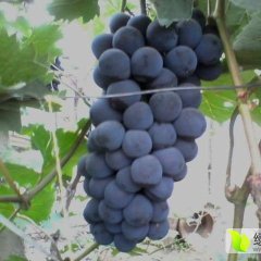 走过路过不要错过