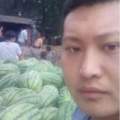 河南开封龙亭 祥符区假冠龙西瓜大量上市