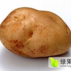 山东惠民荷兰十五土豆旺季在售