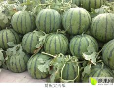 2016尉氏西瓜价格波动不大