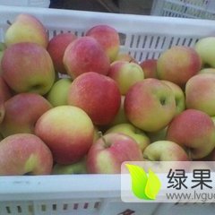 2016陕西大荔花冠苹果价格