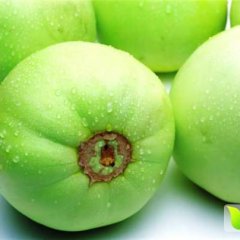 忻府甜瓜早买早赚,曹张郭俊伟诚信合作