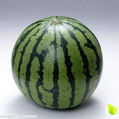 黑龙江双城市是西瓜 蔬菜生产基地