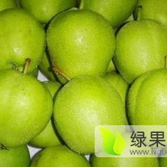 大荔梨火爆招商中,两宜周建忠诚信合作