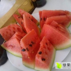 靖远高湾王磊6月金城5号西瓜