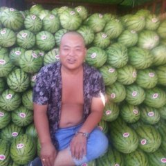 甘肃省白银市靖远县西瓜 新绿宝