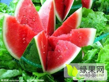 2016年辽宁新民欣胜棚瓜价格