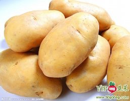 2016通许土豆走过路过不要错过