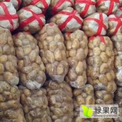 河南开封县土豆产地代办