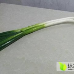 冕宁大葱名扬天下,泸沽罗庆华诚信合作