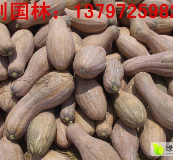 2015年湖北嘉鱼大果价格