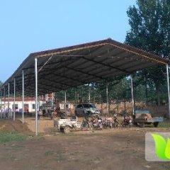 河北大名荷兰十五土豆价格行情平稳