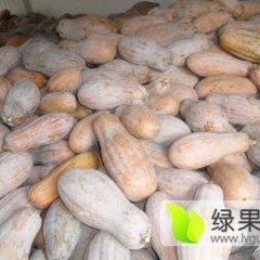 嘉鱼南瓜何去何从,潘家鲁恩明诚信合作