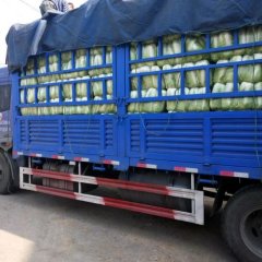 河南夏邑荷兰十五土豆营养丰富土豆