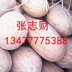 嘉鱼南瓜欢迎合作潘湾张志财诚信合作大量供应