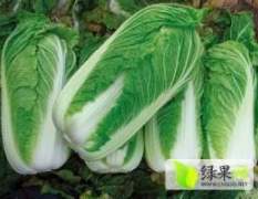 太白县为全国无公害蔬菜种植基地